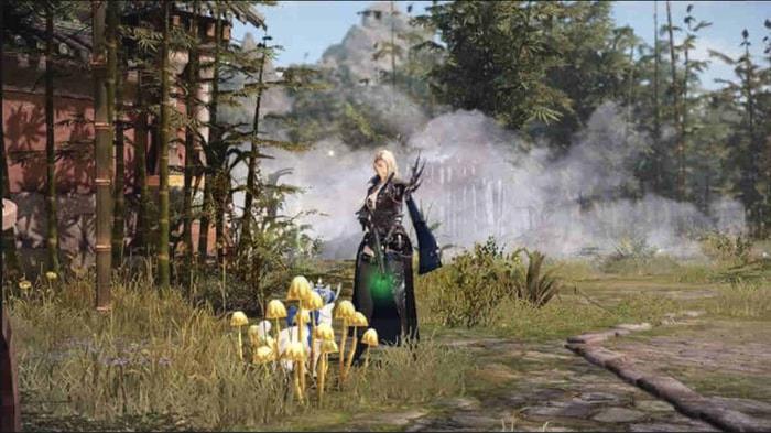 Lost Ark Foraging Locations